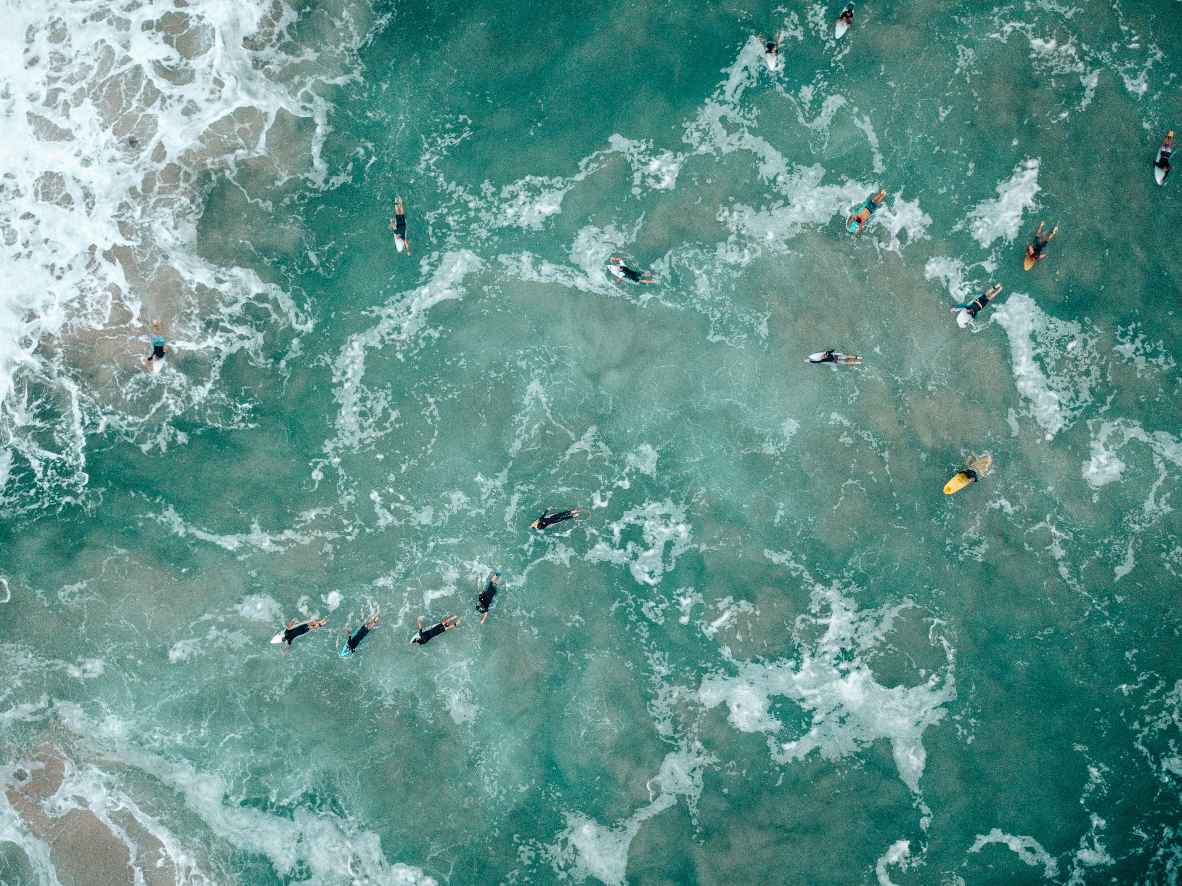 josh withers 1PWhYZ erME unsplash