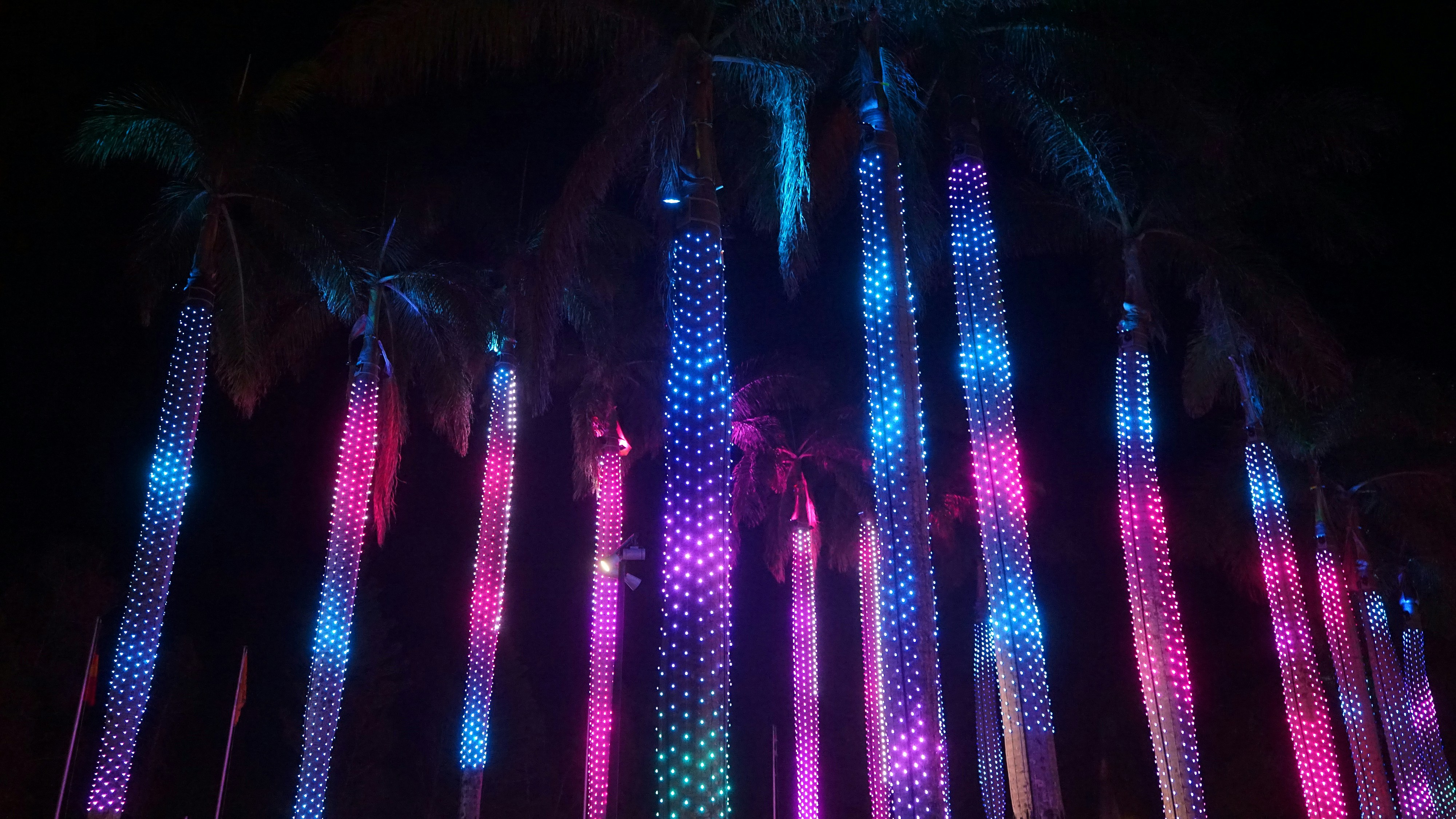 draculas night life on the goldcoast